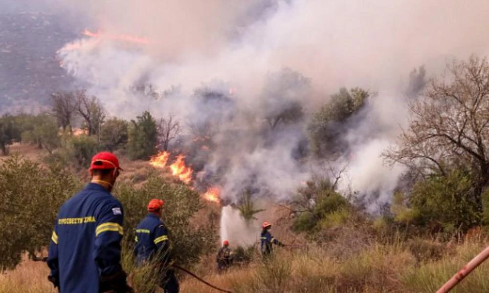 Φωτιά ξέσπασε στην Κερατέα - Tέθηκε υπό έλεγχο